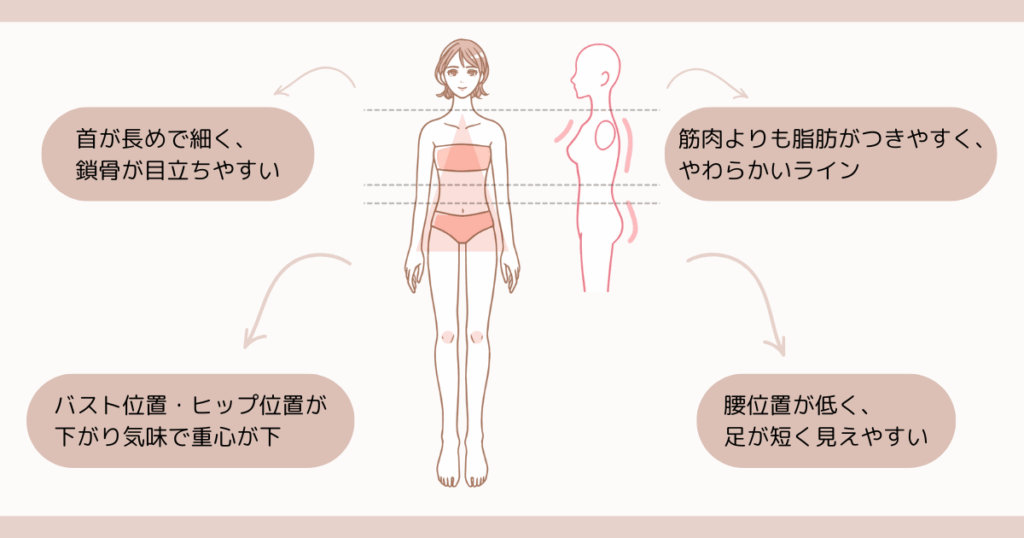 骨格診断×ファッション｜ウェーブの特徴