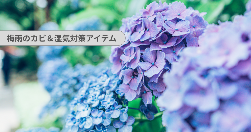 本当に効いた湿気＆カビ対策アイテム｜カビ＆湿気トラブルにおすすめアイテム