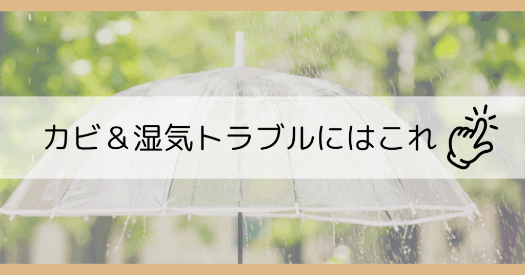本当に効いた湿気＆カビ対策アイテム｜カビ＆湿気トラブルにおすすめアイテム