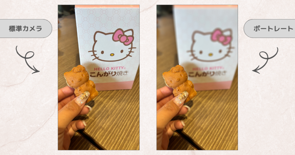 iPhone標準カメラでおしゃれ写真を撮るコツ｜標準カメラとポートレート写真の違い