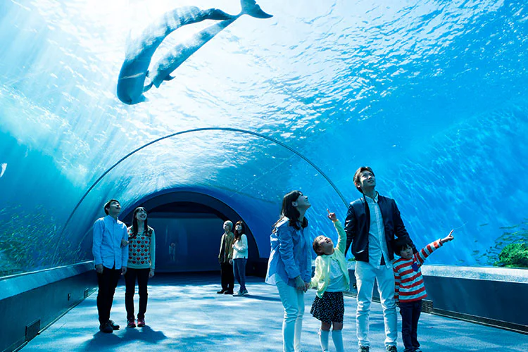横浜・八景島シーパラダイス
